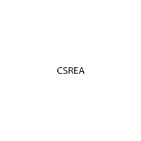 csrea 45x33