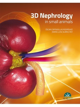 nephrology 3d